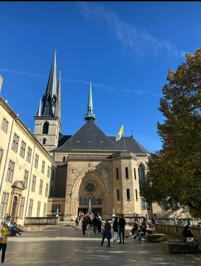 Student Testimonials and Reviews - Germaxi Hub German Language Classes India Germaxi Hub German Language Institute - Student Reviews, Feedback, and Testimonials from German Classes in India and Abroad